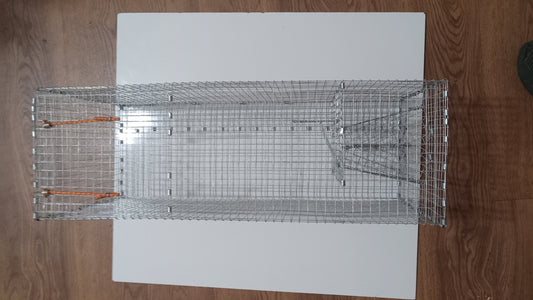 Bullhead catfish bait trap