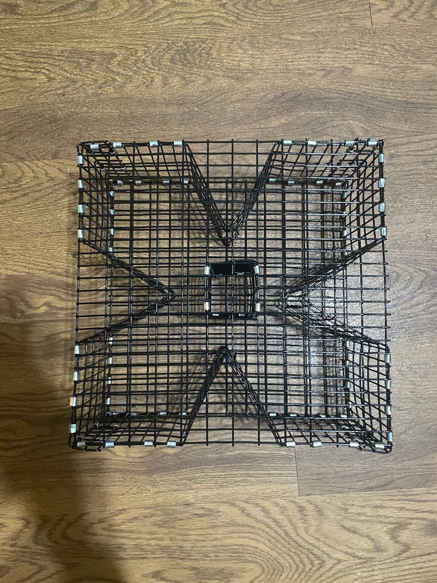 Cloverleaf bait trap