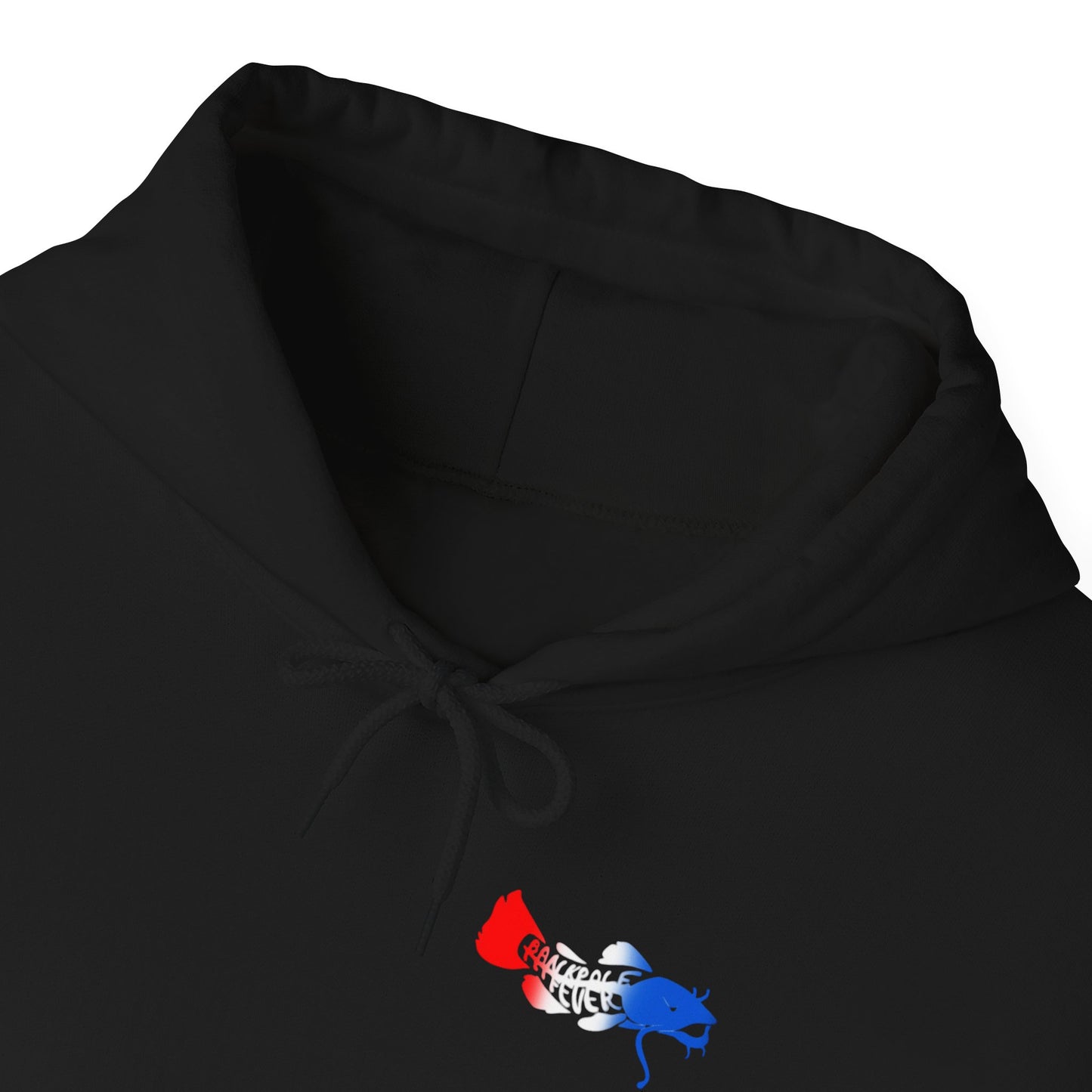 Patriotic Catfish Enthusiast Unisex Hoodie - Show Me Those Kitties Design