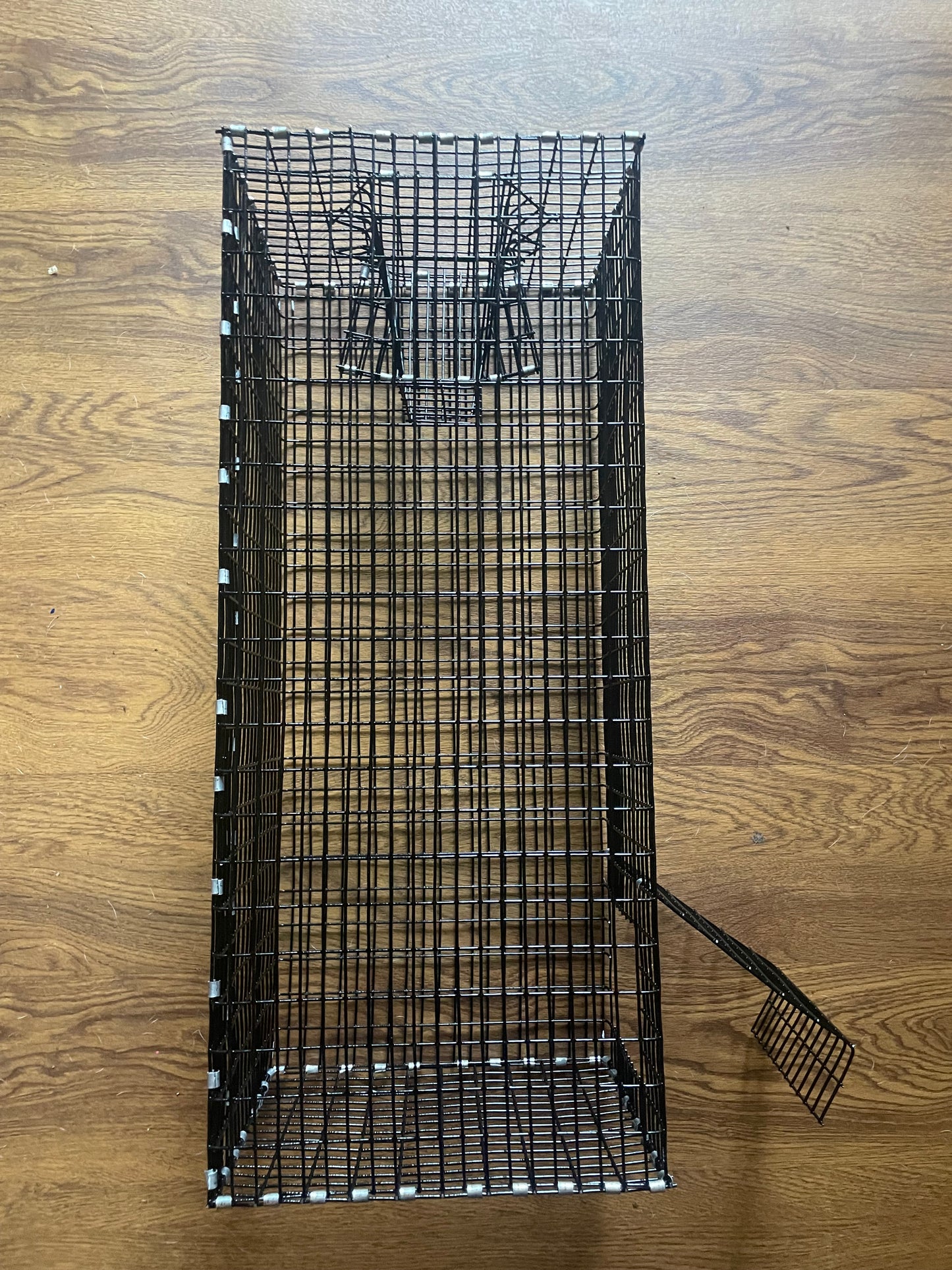 Bullhead catfish bait trap