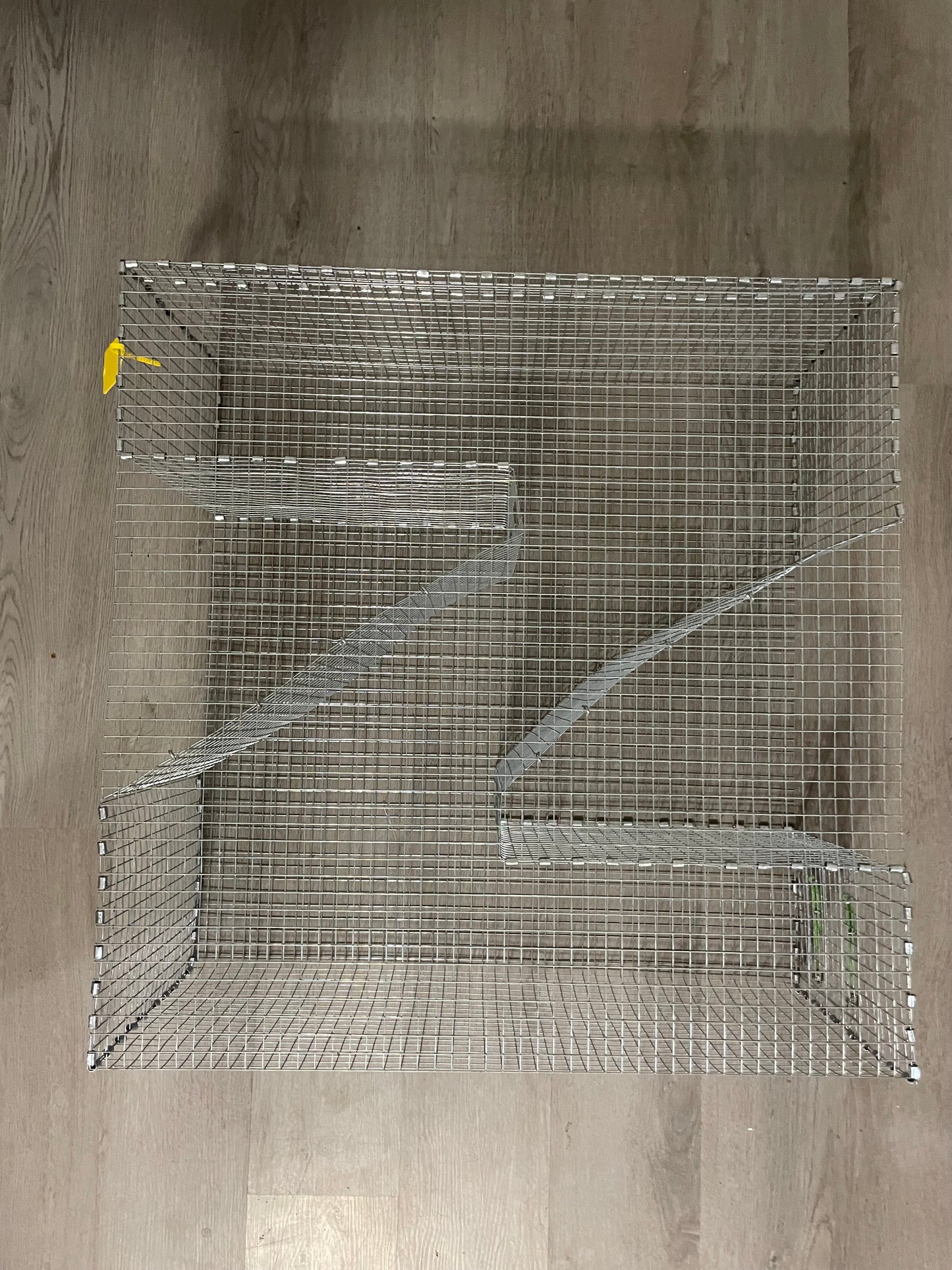Bankpolefever Z-Trap