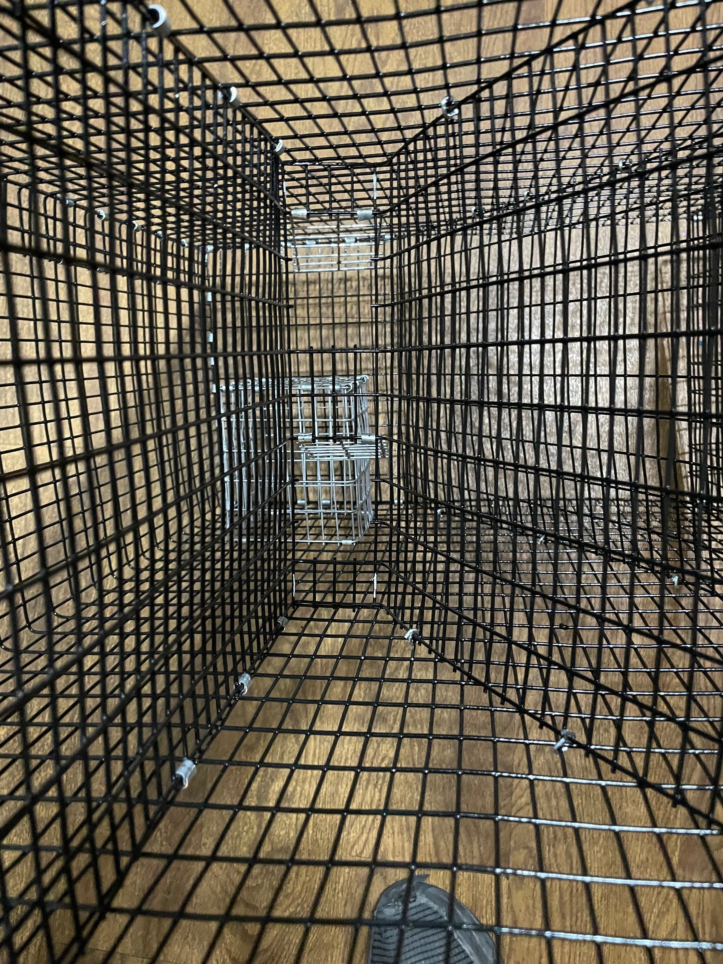 Bankpolefever Z-Traps