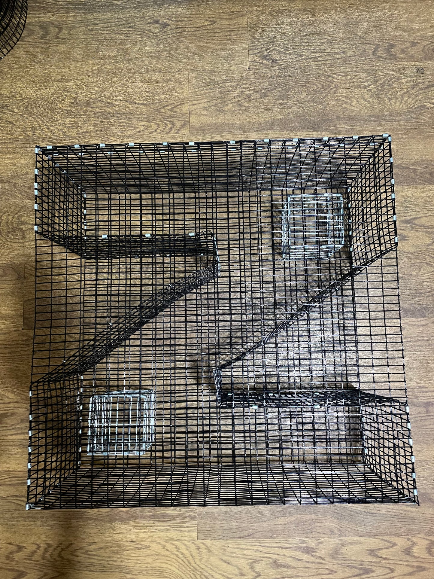 Bankpolefever Z-Traps