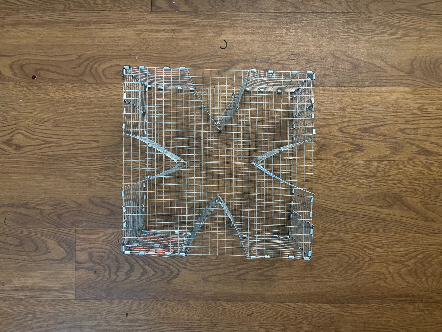 Bankpolefever Mini Cloverleaf Bait Trap