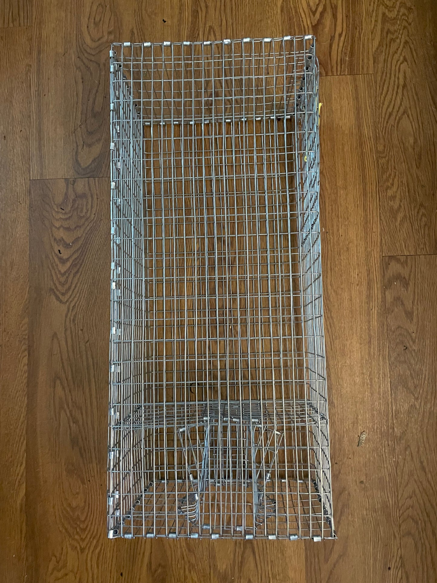 Bankpolefever Bullhead Bait Trap