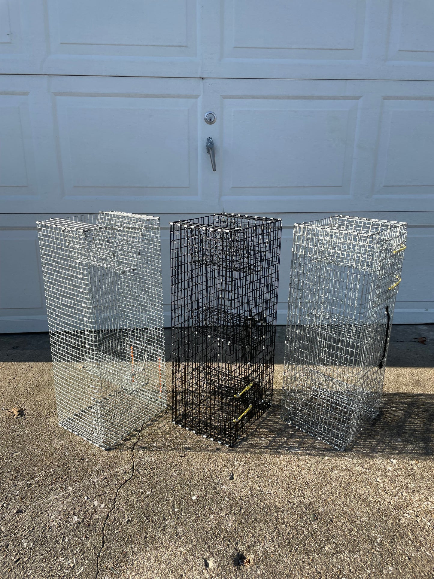 Bankpolefever Mini Pinfish/Perch Bait Trap