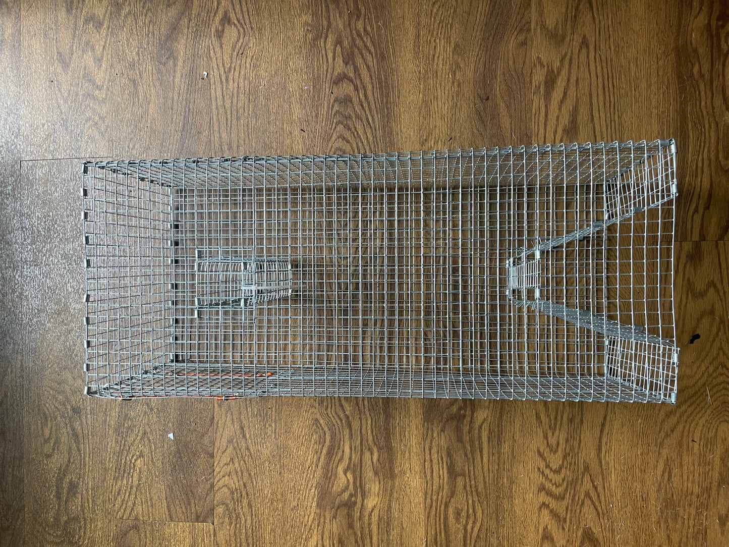 Bankpolefever Perch/Pinfish Bait Trap