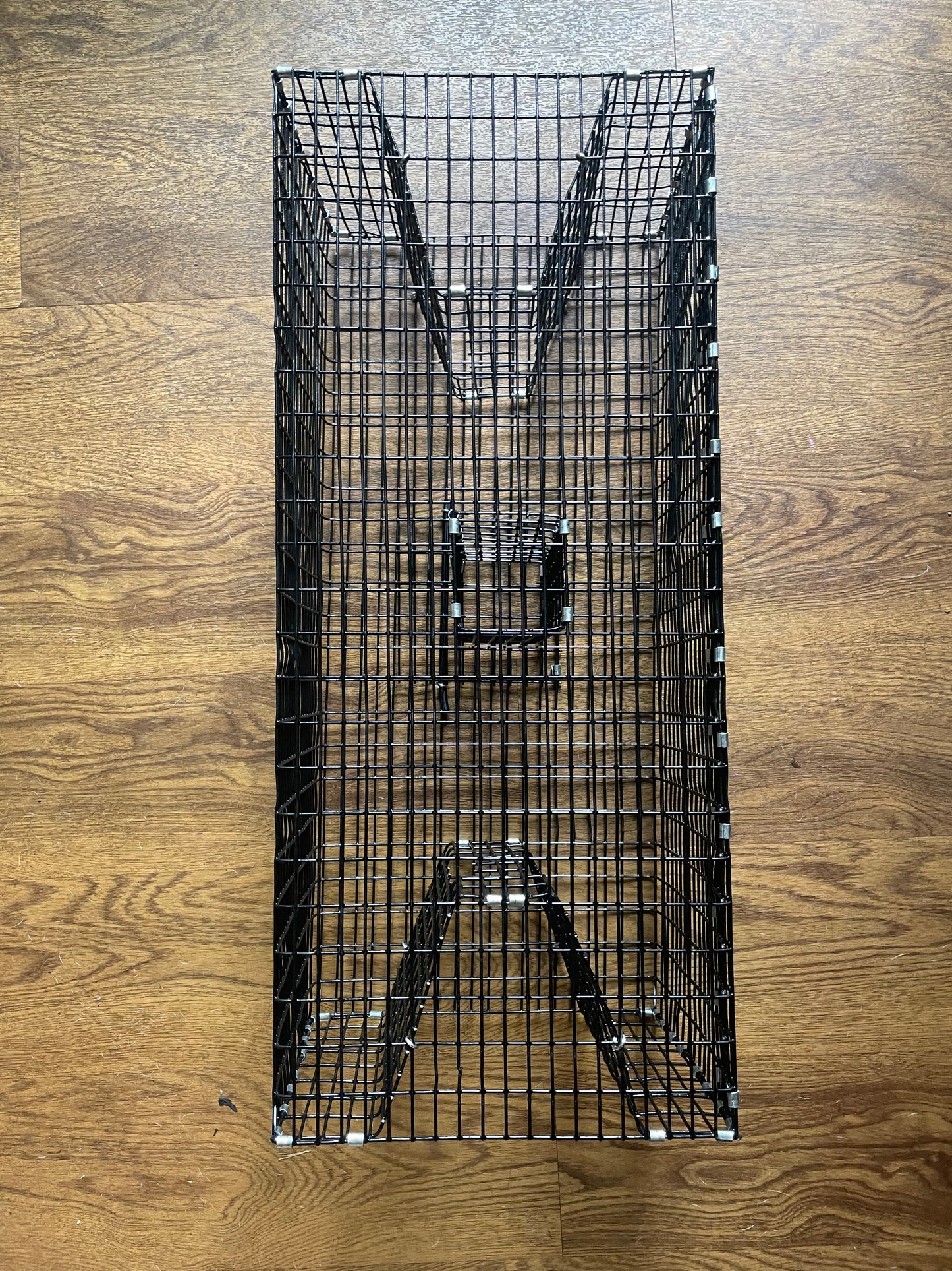 Bankpolefever Perch/Pinfish Bait Trap
