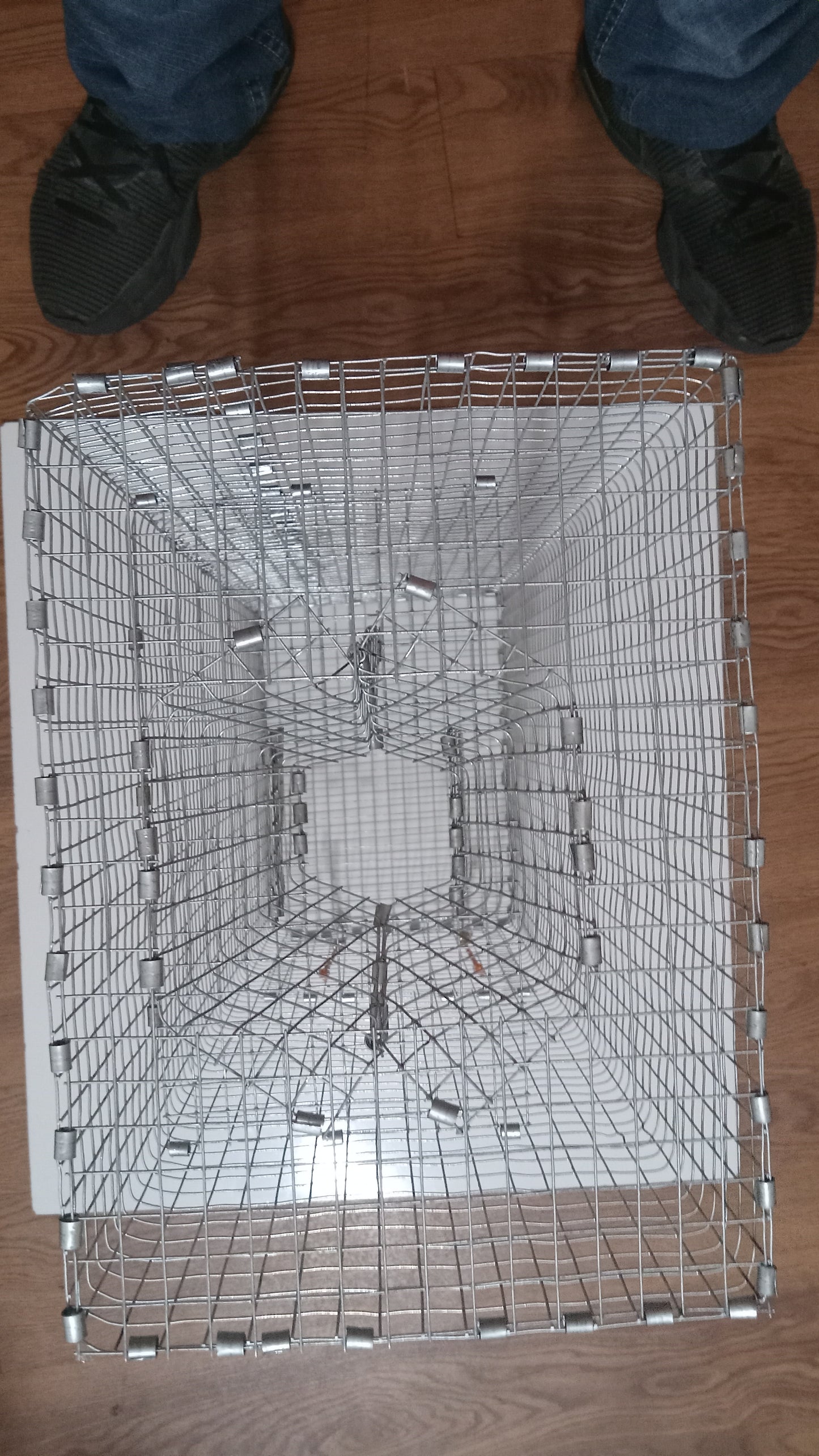 Bullhead catfish bait trap