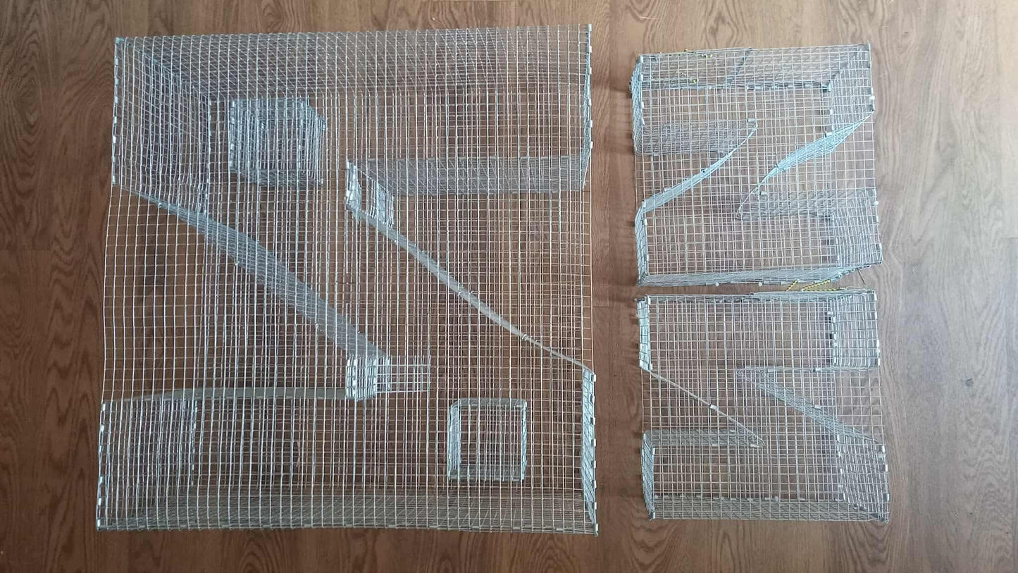 Bankpolefever Z-Traps