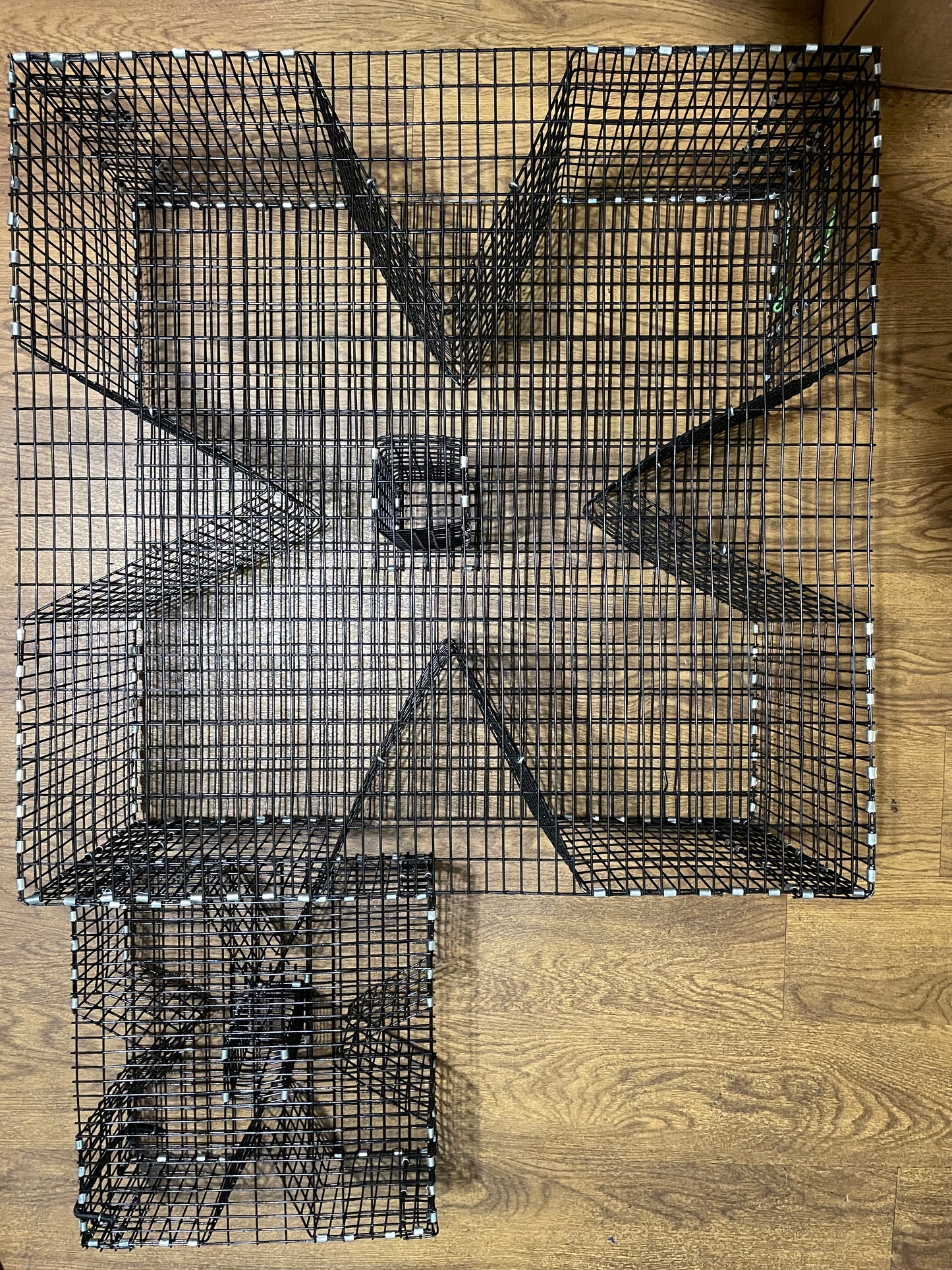 Bankpolefever Mini Cloverleaf Bait Trap