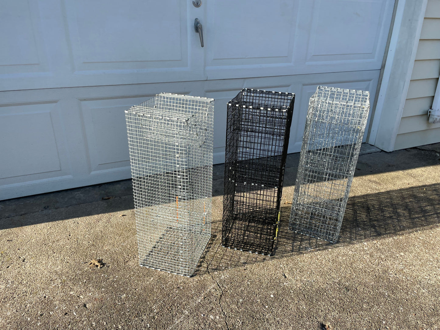 Bankpolefever Perch/Pinfish Bait Trap