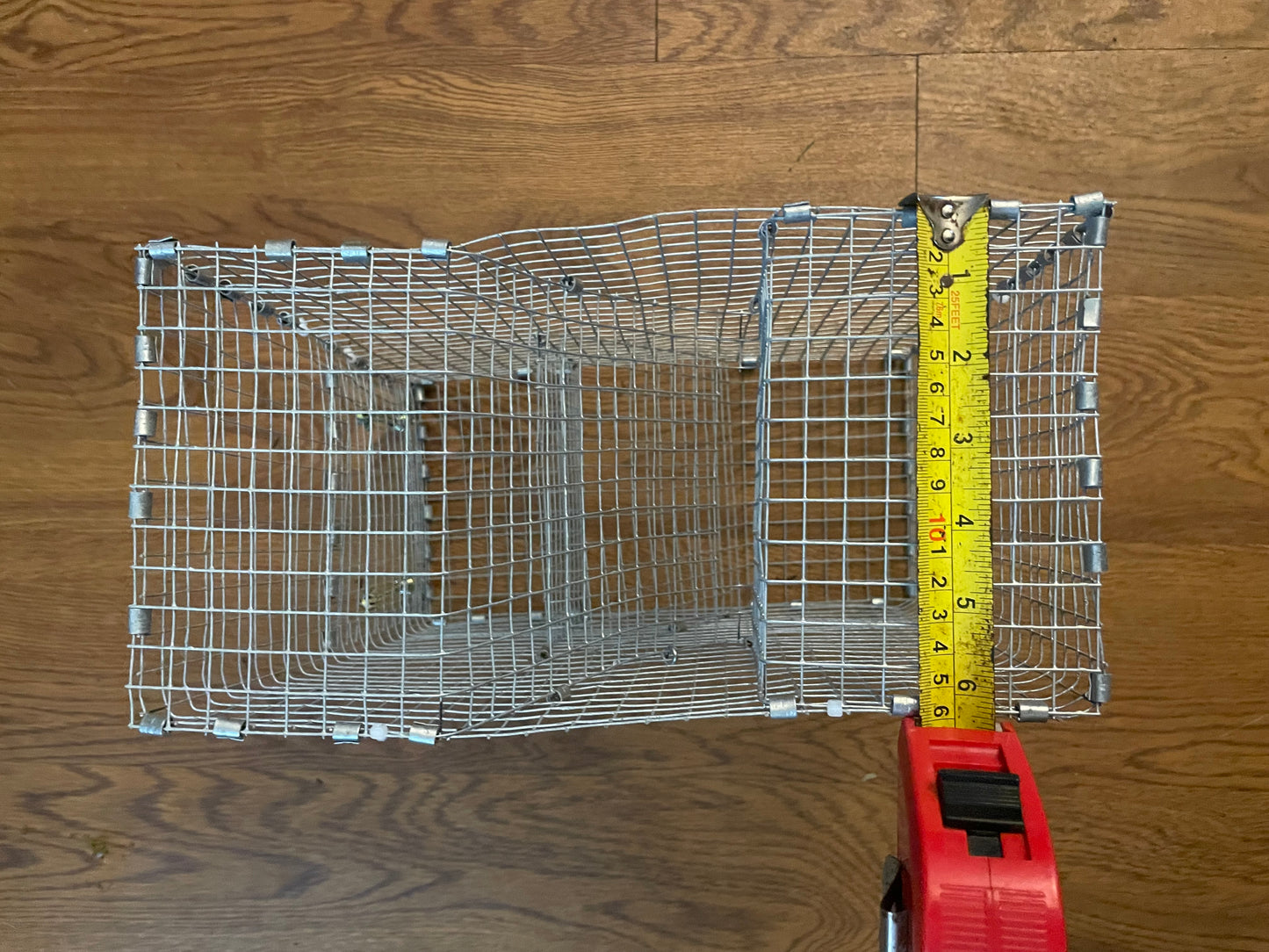 Bankpolefever Mini Z-Traps