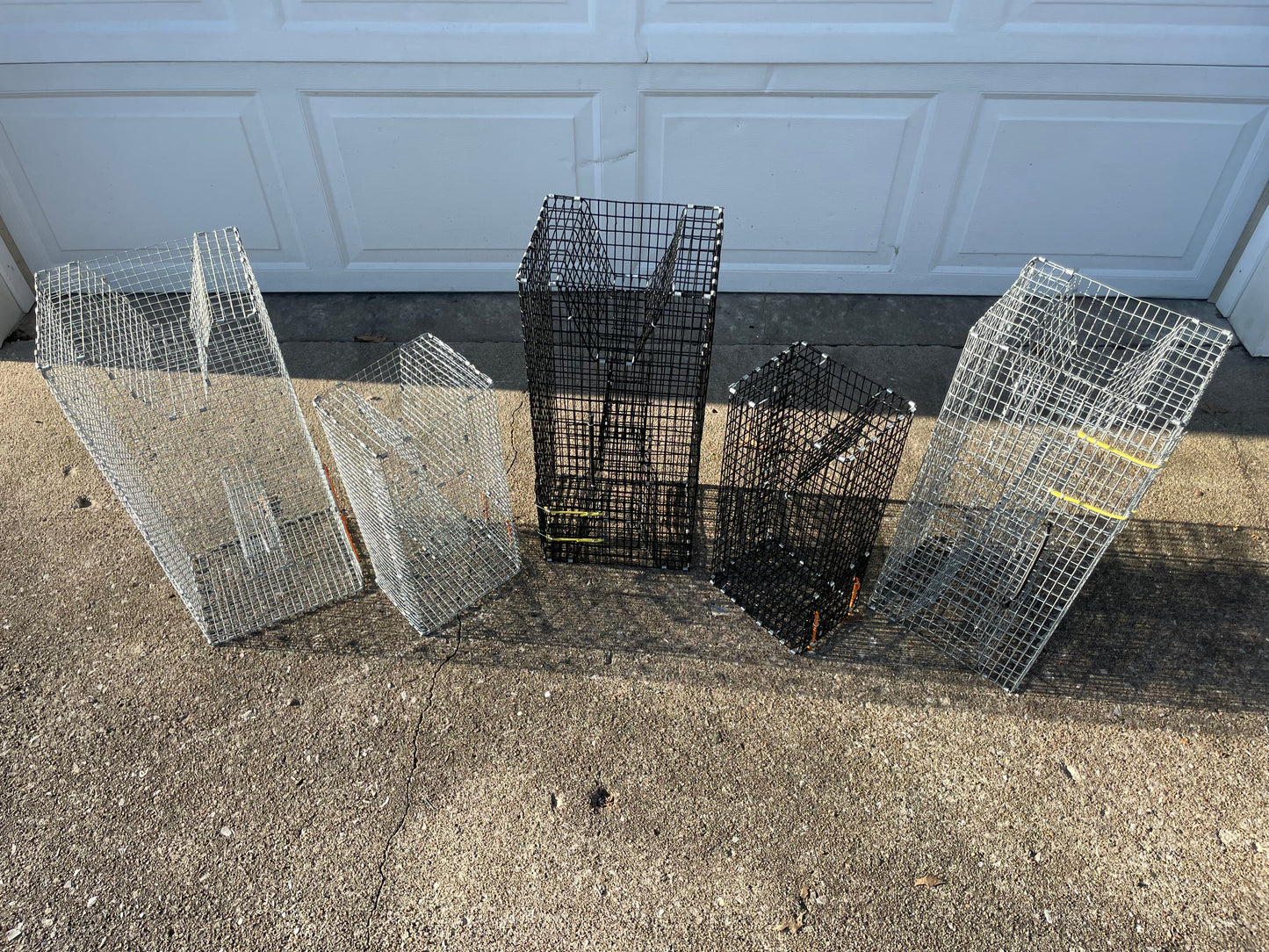 Bankpolefever Mini Pinfish/Perch Bait Trap
