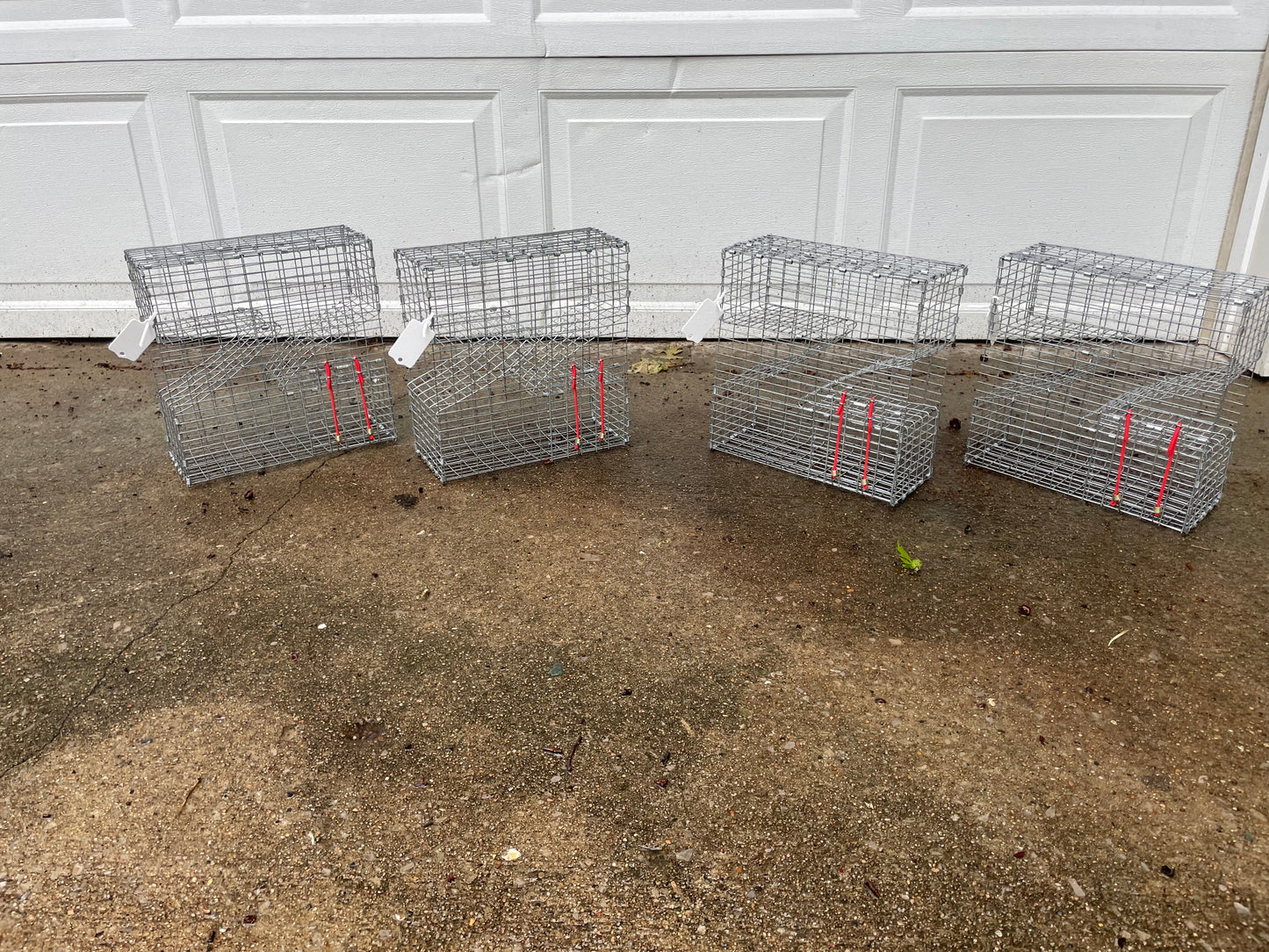 Bankpolefever Mini Z-Traps