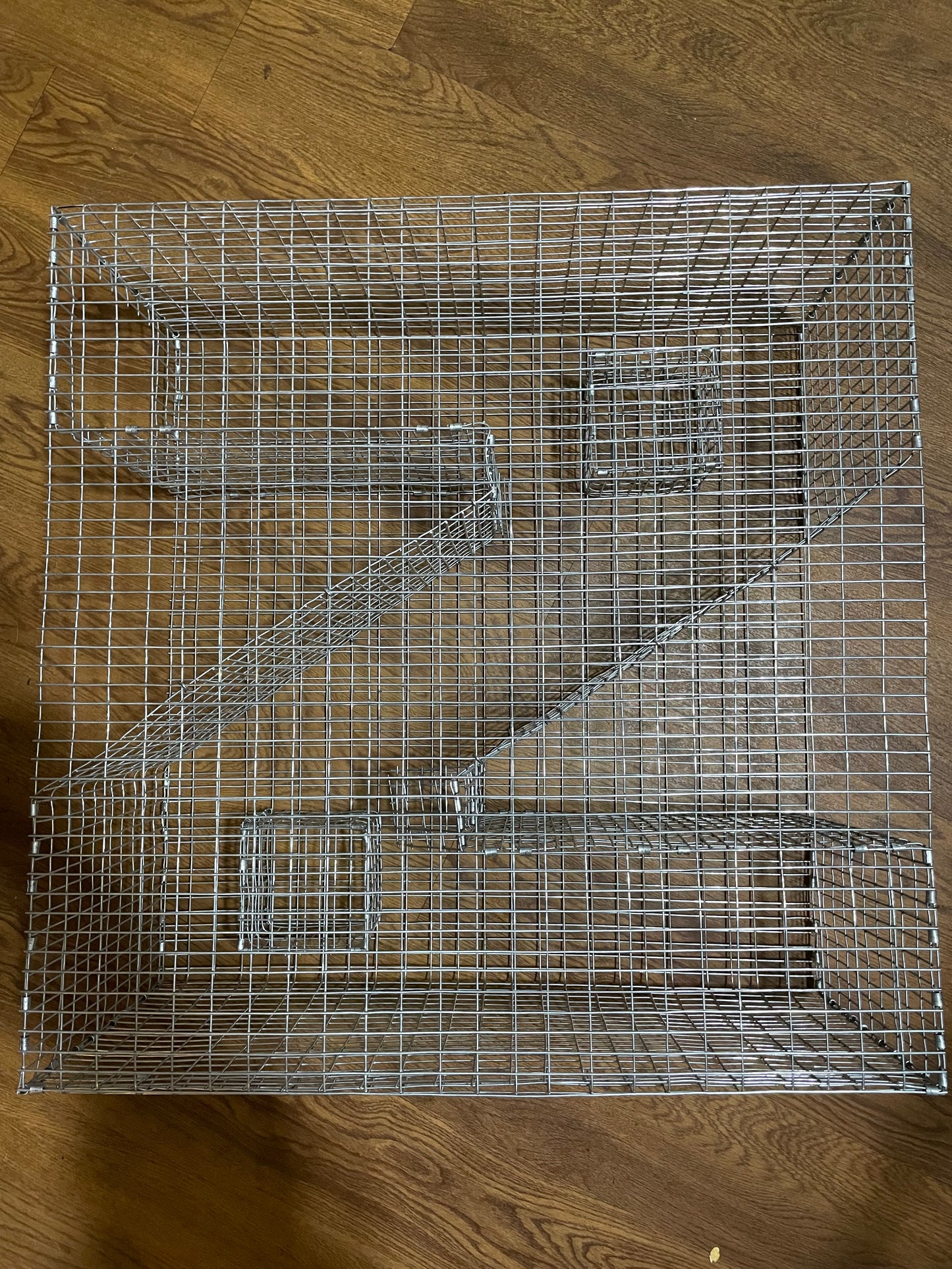 Bankpolefever Z-Traps