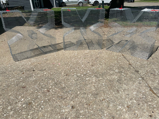 Bankpolefever Cloverleaf Bait Trap