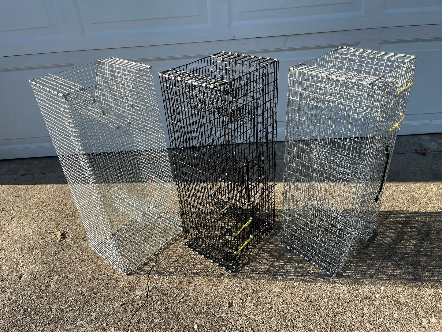 Bankpolefever Mini Pinfish/Perch Bait Trap