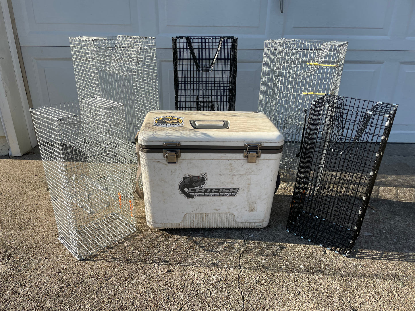 Bankpolefever Mini Pinfish/Perch Bait Trap