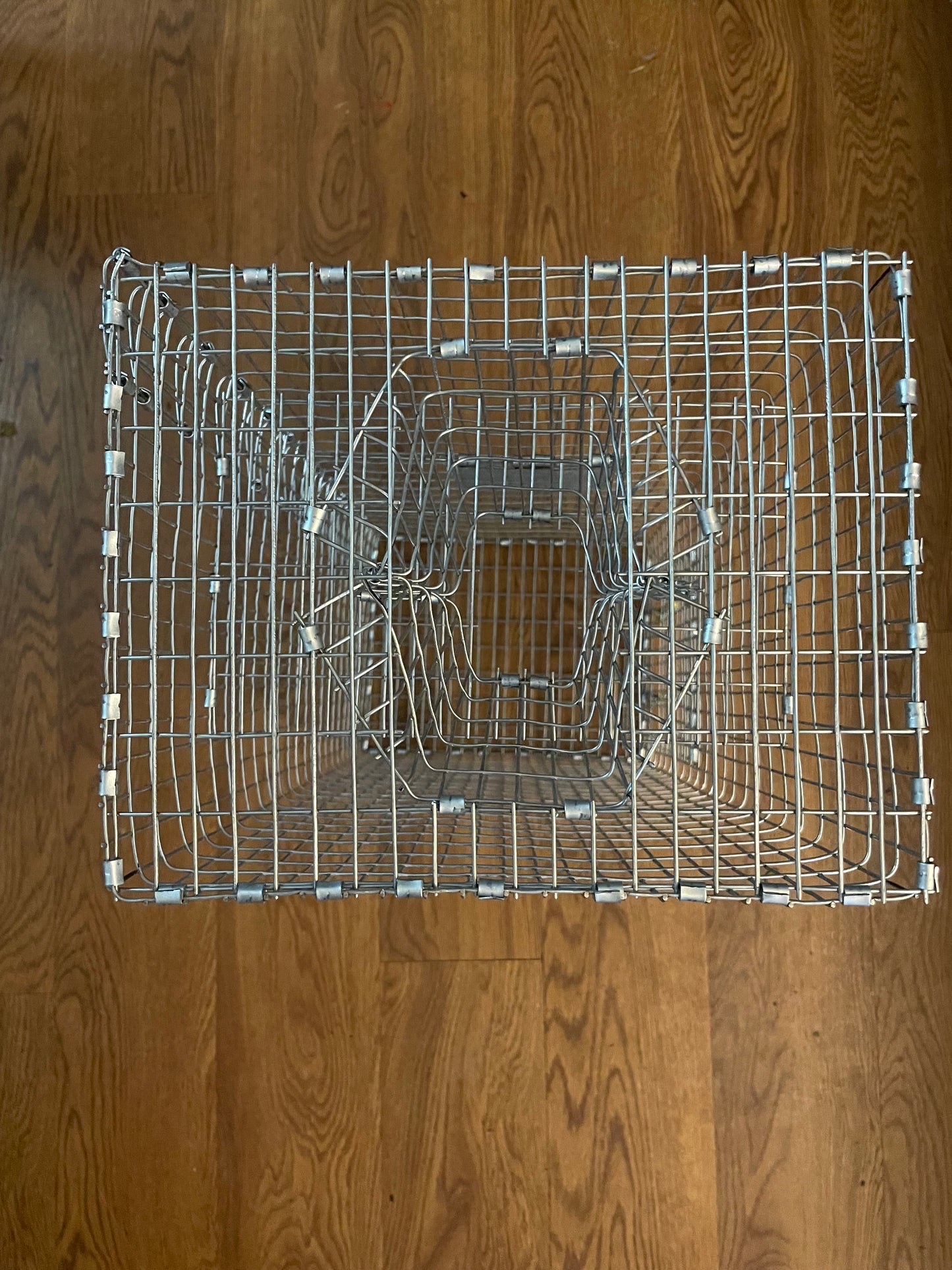 Bankpolefever Mini Bullhead Bait Trap