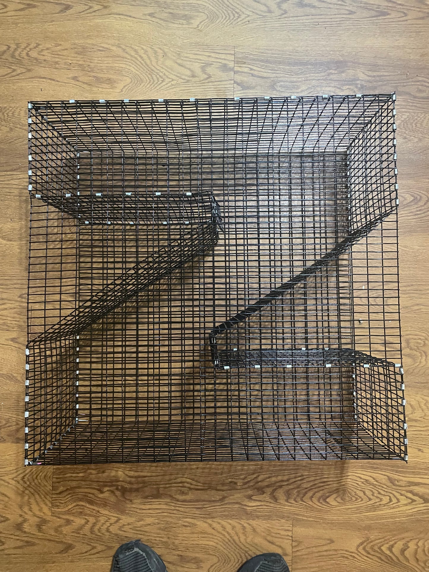 Bankpolefever Z-Trap
