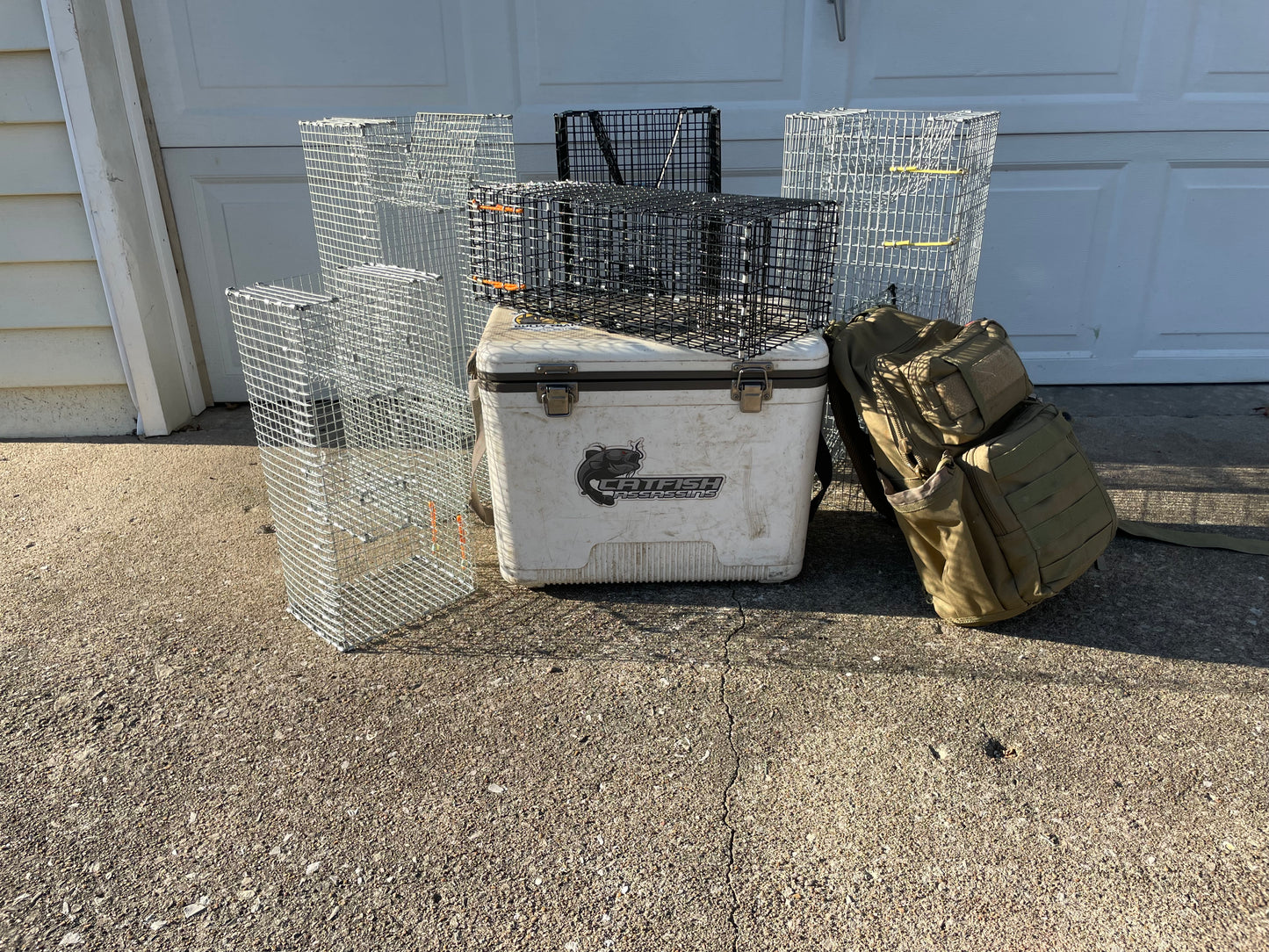 Bankpolefever Mini Pinfish/Perch Bait Trap