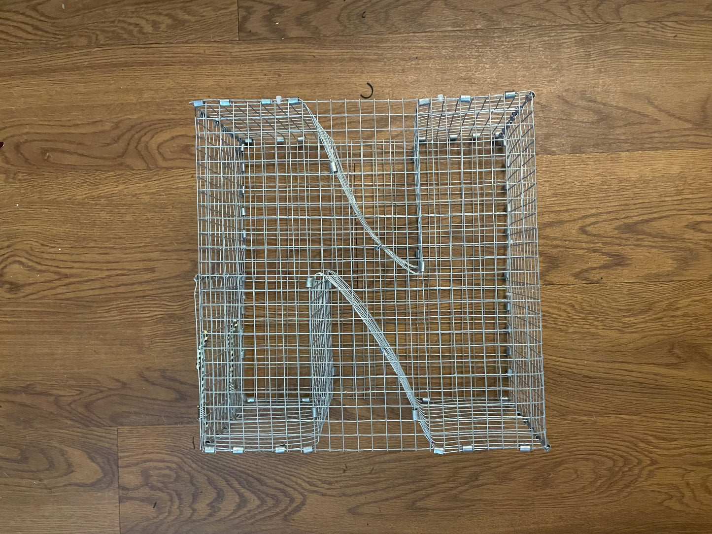 Bankpolefever Mini Z-Traps