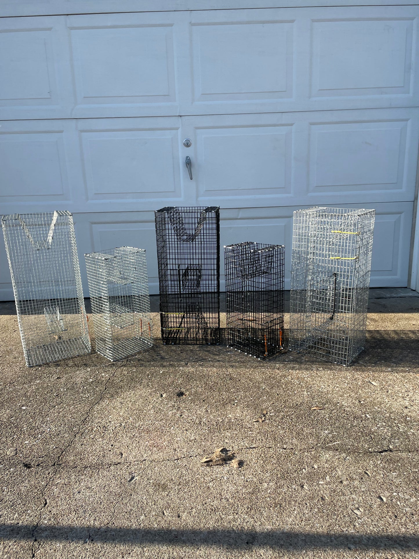 Bankpolefever Mini Pinfish/Perch Bait Trap