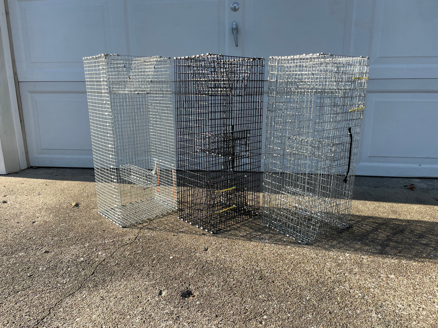 Bankpolefever Mini Pinfish/Perch Bait Trap