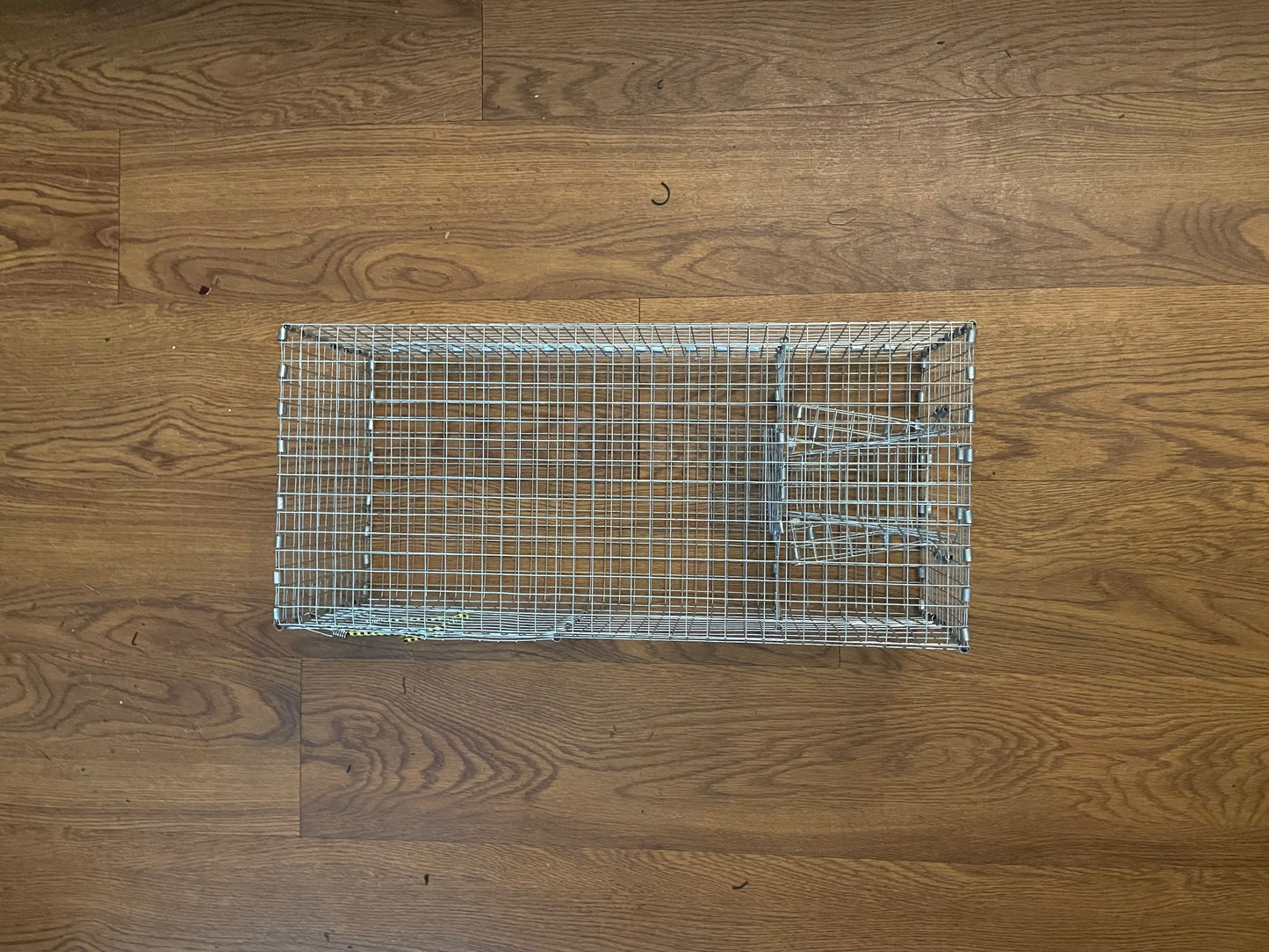 Bankpolefever Mini Bullhead Bait Trap