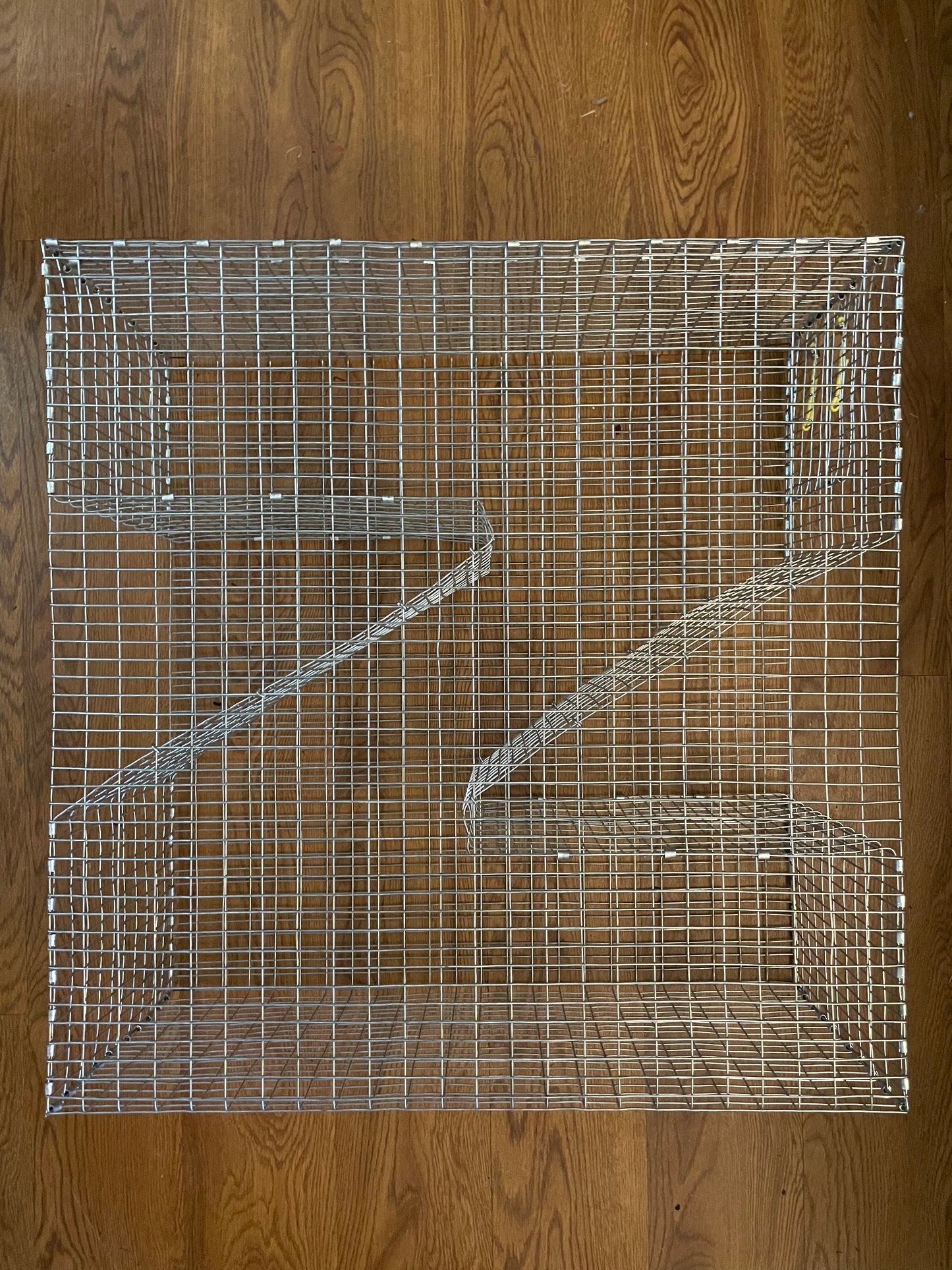 Bankpolefever Z-Trap