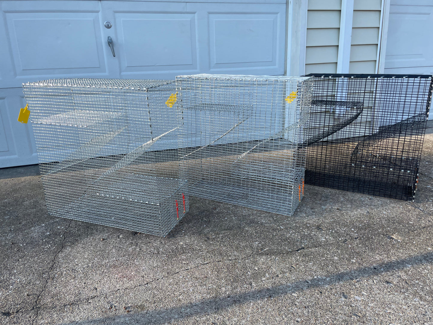 Bankpolefever Mini Z-Traps