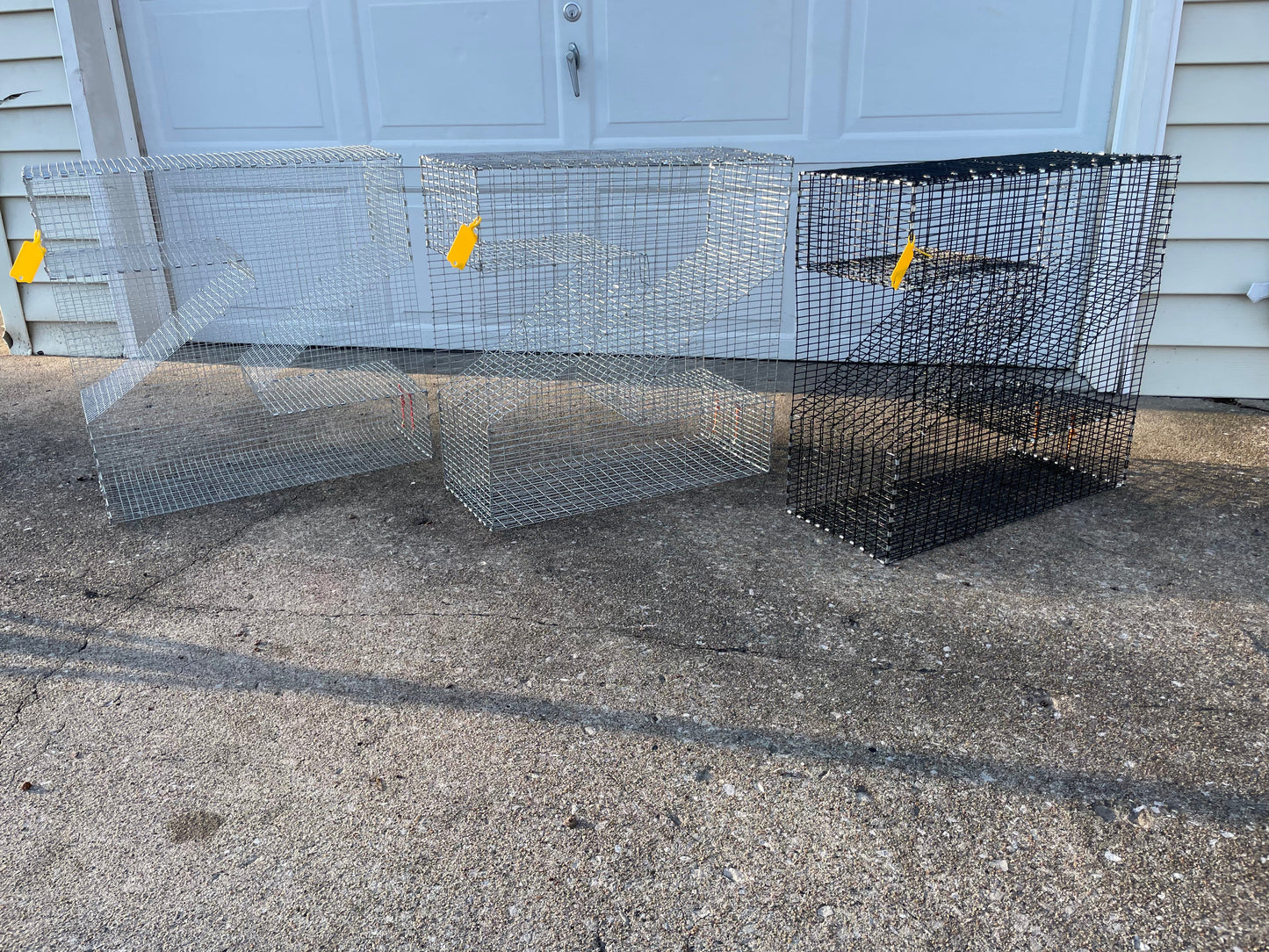 Bankpolefever Mini Z-Traps