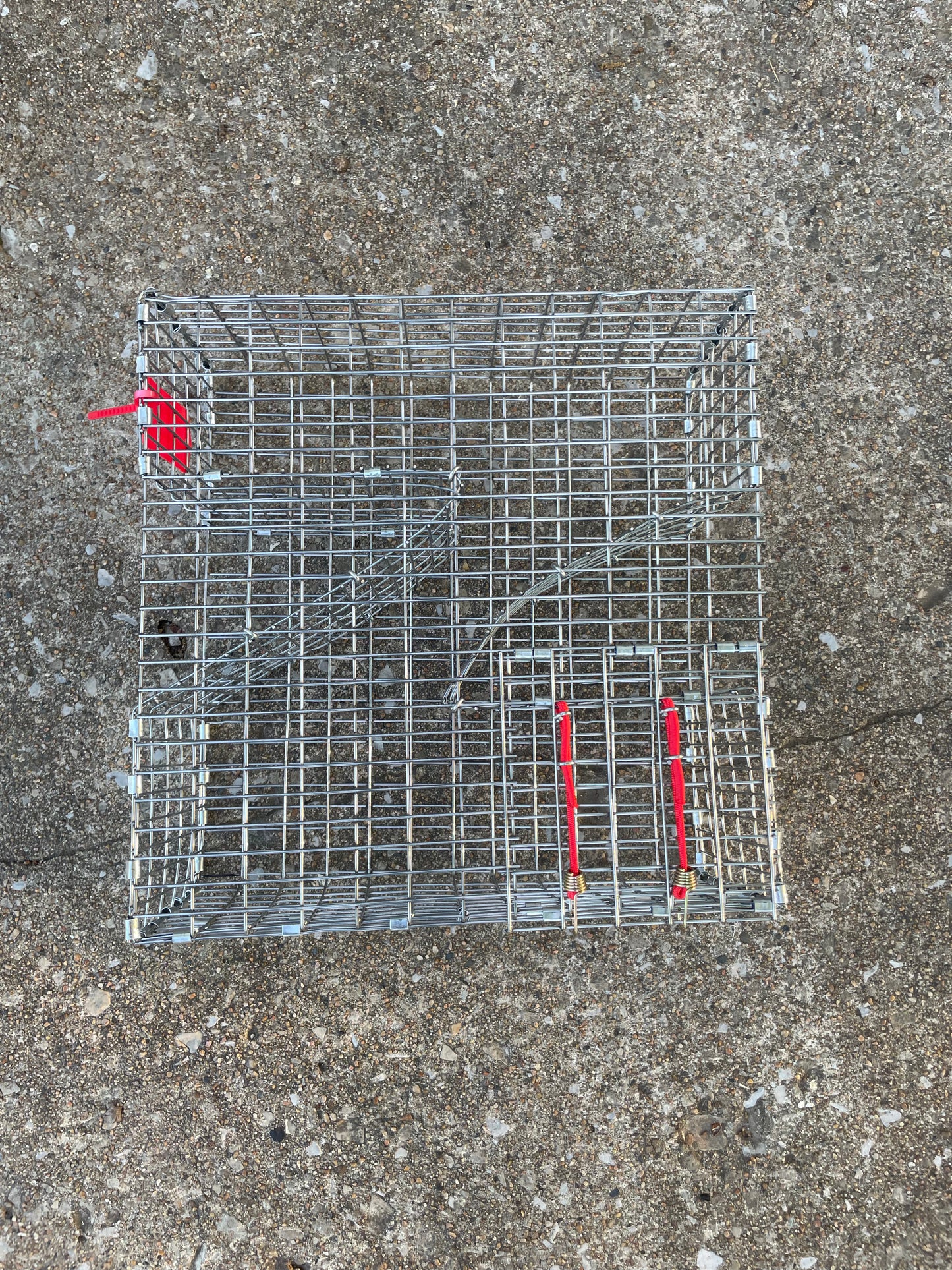 Bankpolefever Mini Z-Traps