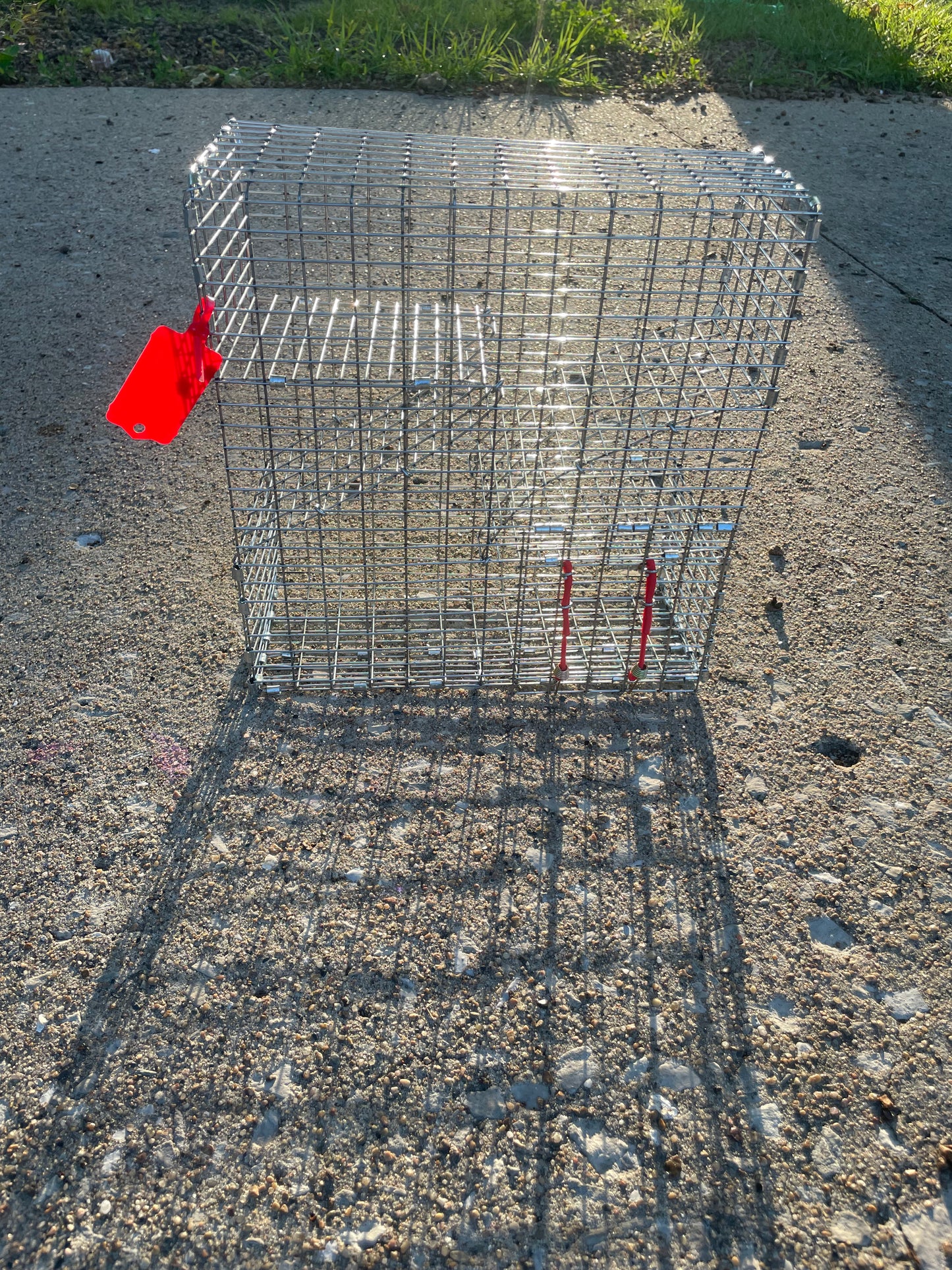 Bankpolefever Mini Z-Traps