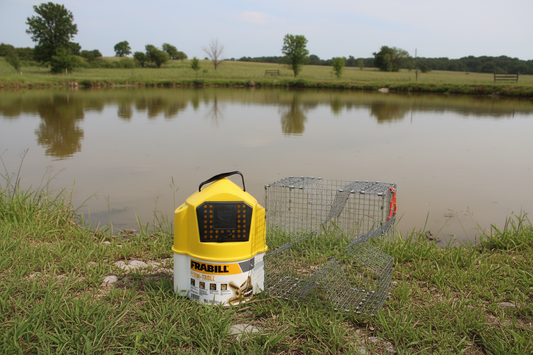 Bankpolefever Mini Cloverleaf Bait Trap