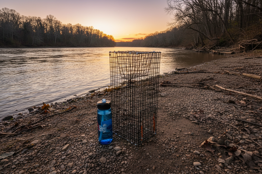 Bankpolefever Mini Pinfish/Perch Bait Trap
